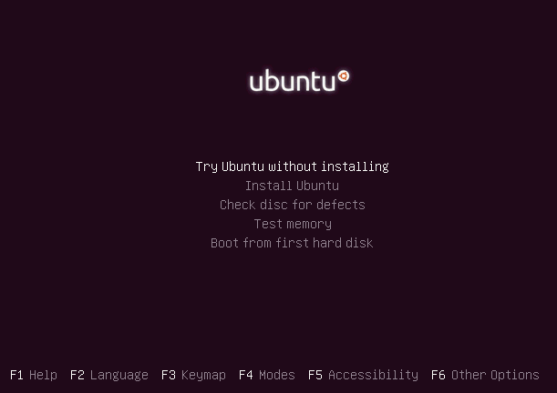 Ubuntu Boot - Дополнительные параметры