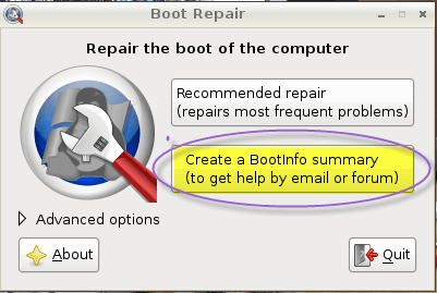 Начальное окно Boot-Repair