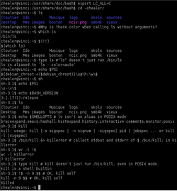 Оболочка Bourne Again - из википедии, свободной энциклопедии
