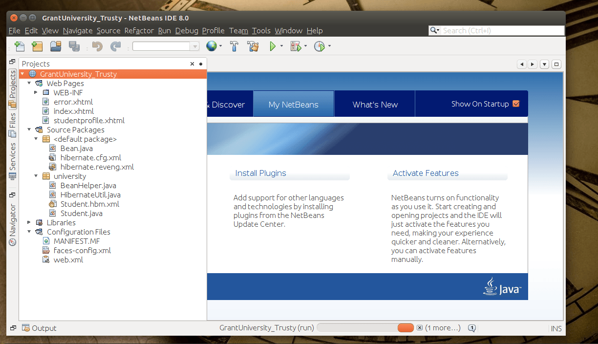 IDE NetBeans в Ubuntu 14.04